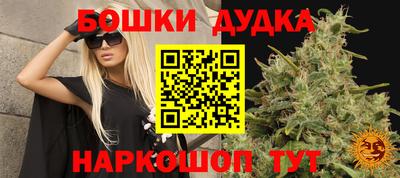 сатива Дубна