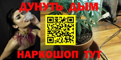 стаф Донецк