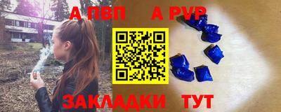 стаф Донецк