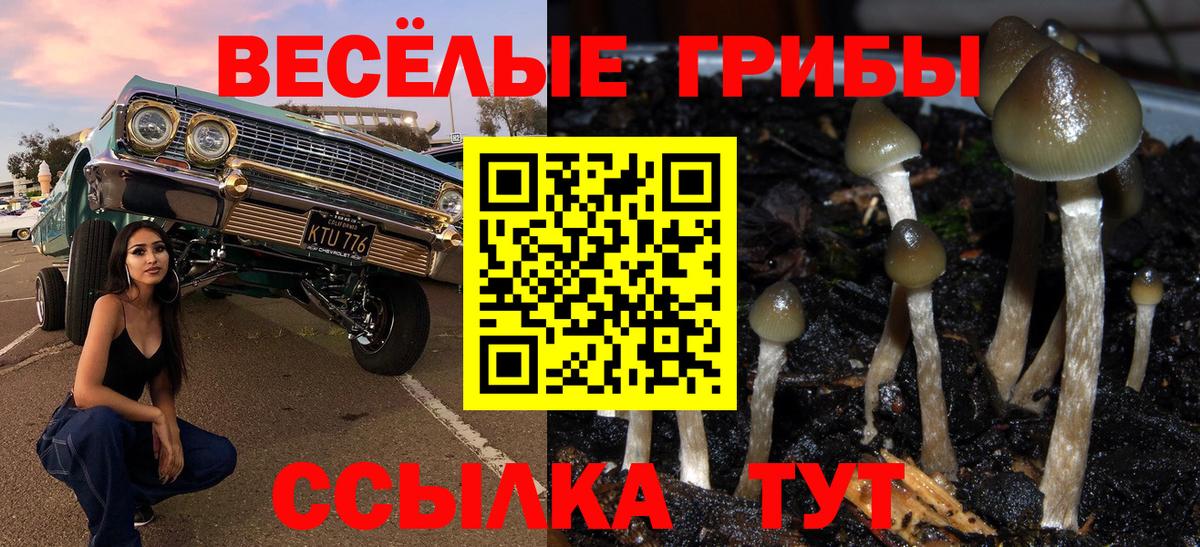 Чехов  Псилоцибиновые грибы Psilocybe  Вход с VPN  Галлюциногенные грибы мухоморы 